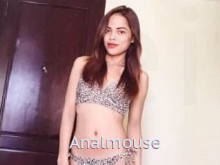 Anal_mouse