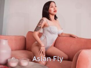 Asian_Fly