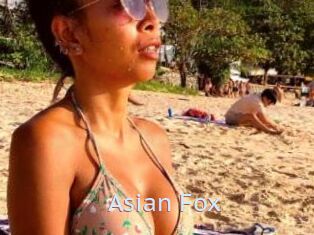 Asian_Fox