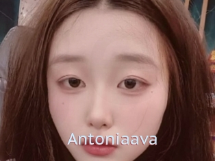 Antoniaava