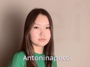 Antoninapucci