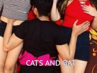 CATS_AND_BAT