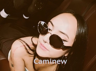 Caminew
