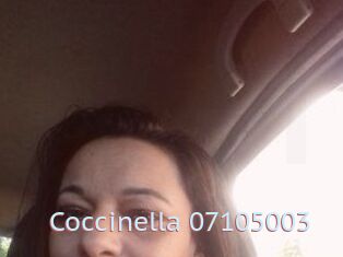 Coccinella-07105003