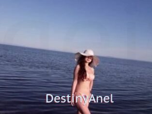 DestinyAnel