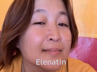 Elenatin