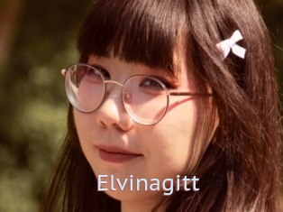 Elvinagitt