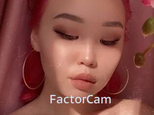 FactorCam