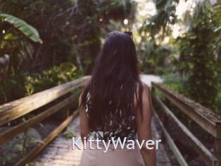 KittyWaver
