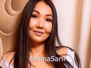 MeinaSani
