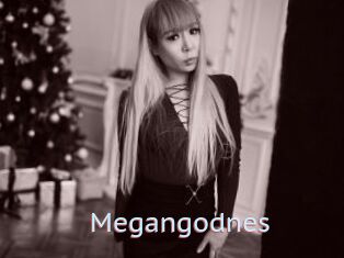Megangodnes