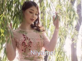 Niyamei