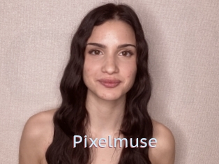 Pixelmuse