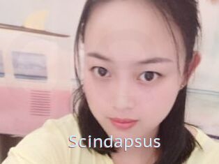 Scindapsus