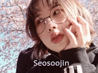 Seosoojin