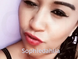 Sophiedahlia