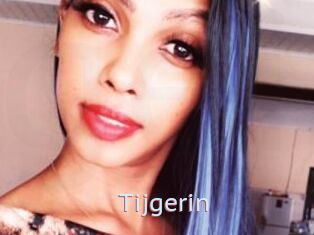 Tijgerin