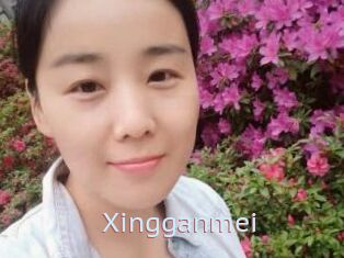 Xingganmei