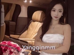 Yangqinmm