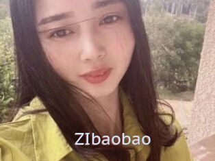 ZIbaobao
